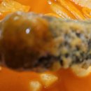 평강꼬마김밥