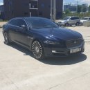 에스(S)게러지 이미지