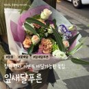 잎새달푸른 - 창원시 성산구 삼정자로43번길 13 | 잎새달푸른