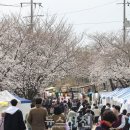 랜드프로 아이비부동산중개 이미지