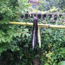 소나기PC 이미지