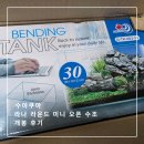 구피 치어용 수아쿠아 라나 라운드 미니 오픈 수조 개봉 후기