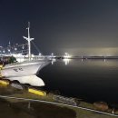 너울 티스토리