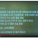 동산내과 네이버블로그