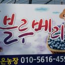 시온농장 이미지