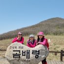 곰배령마루 이미지