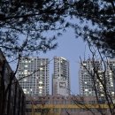 에코데시앙공인중개사사무소 | 상권 학군 모두 좋은 전주 에코시티 더샵1차 아파트 정보와 9년차 아파트 매매시 주의 사항