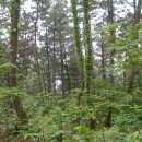 청솔주유소 이미지