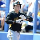 강정호 카카오 검색결과