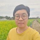 라벤다공인중개사사무소 Daum카페