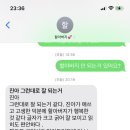 피자에 홀린닭 이미지