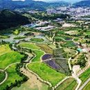 국내 조용한 여행지 장성 가볼만한곳 장성 축령산 편백치유의숲 이미지