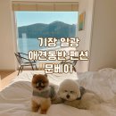 문베이 | 기장 일광 애견 동반 숙소 문베이 : 히노끼탕 있는 301호 후기