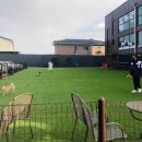 독플래닛 이미지