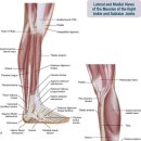 더찬스짐 이미지
