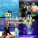 ㈜도원 | 제주도 아이랑 가볼만한곳 아쿠아플라넷 아쿠아리움 오션아레나