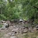 지장산 계곡 아래 이미지