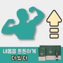 팜코덱스 이미지