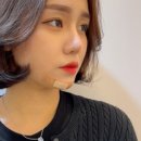 레브헤어 이미지