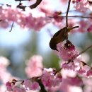 배화학교 이미지