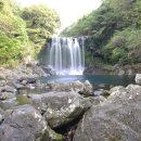 천지연농수산