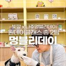 멍블리 수제간식 이미지