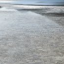 지리해수욕장 이미지