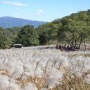제27회 포천 산정호수 명성산 억새꽃 축제 이미지