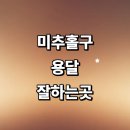 도화동퀵서비스 - 마포구 마포대로 49 | 근처 용달이사 추천 화물용달 전문업체 잘하는곳 소형 견적 라보용달 퀵서비스 운송 침대 후기 렌트