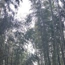 소풍마트 - 가평군 어비산길 184-147 | 소풍마트
