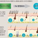보령약국 - 수성구 수성로 375-1 | 보령약국