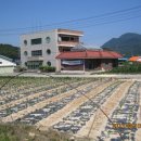 팔미3리 경로당 이미지