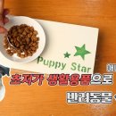 반려식탁 이미지