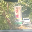 철이네 민박 이미지