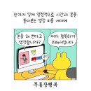 2020년 잘 썼던, 잘 샀다 싶은 물건들 ! 💸내돈내산후기