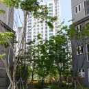 신당인덕3로-9 이미지