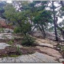 당림교