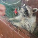 이선영농장 | 경기도 근교 가볼 만한 곳 화성 센트럴 곤충생태농장 이용 후기(with 혜경궁 베이커리 카페)