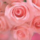 세진시스템 이미지