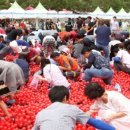 괴산고추축제 이미지