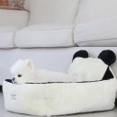 바오도그 이미지