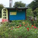 산양삼마을민박 이미지