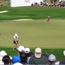 베스트 골프클럽 이미지