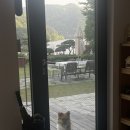 서산 제로플레이스 | 나만알고싶은 바베큐, 자쿠지 가능한 서산 펜션 +01번방 내돈내산 강추 후기