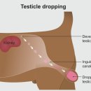 베이시티 동물병원 이미지