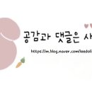 서유의섬 이미지