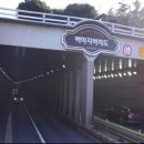 6시내고양이 이미지