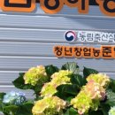 준일농장 이미지