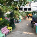 허브농원 이미지