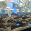 무진장횟집 이미지